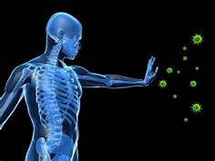 Mechanism Of Allergic Imm