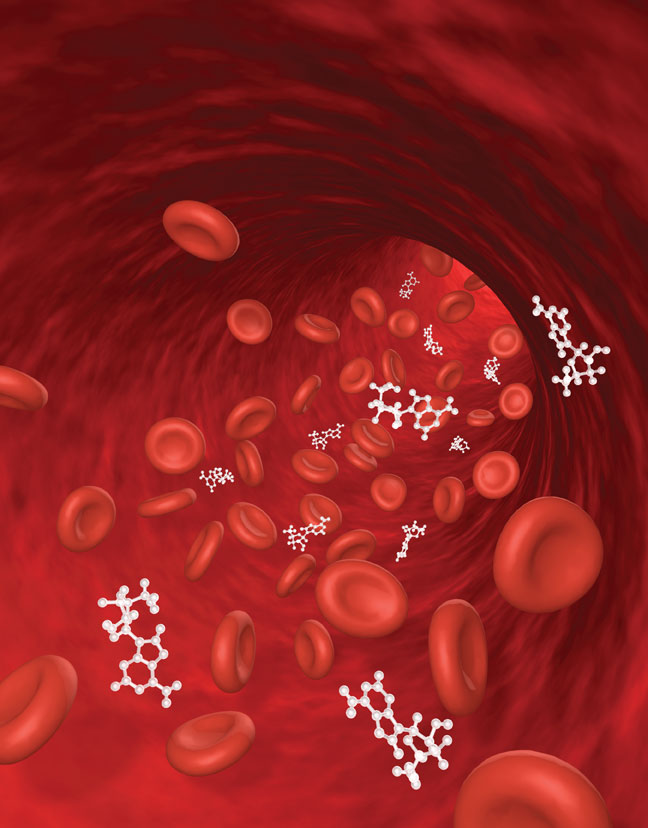 Bioavailability And Bioeq