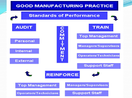 Gmp And Cgmp Consideratio