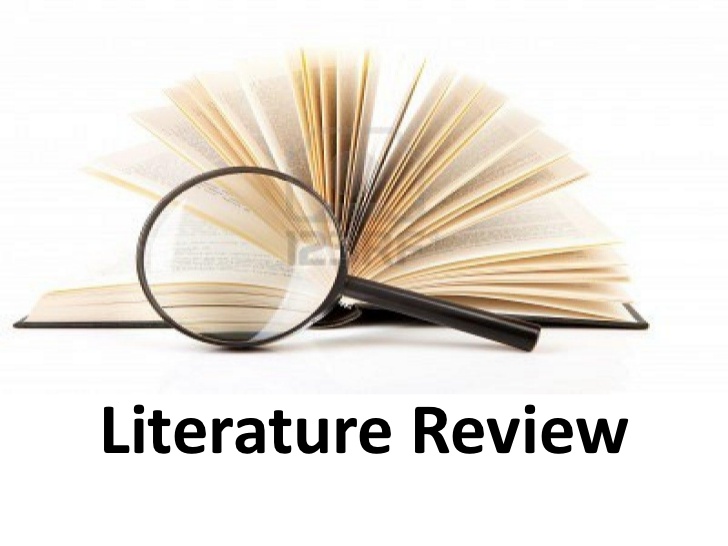 Literature Review