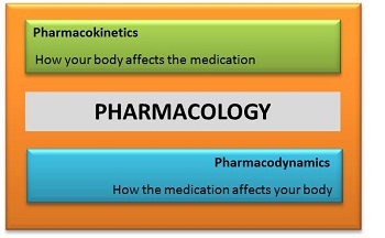  Introduction To The Phar